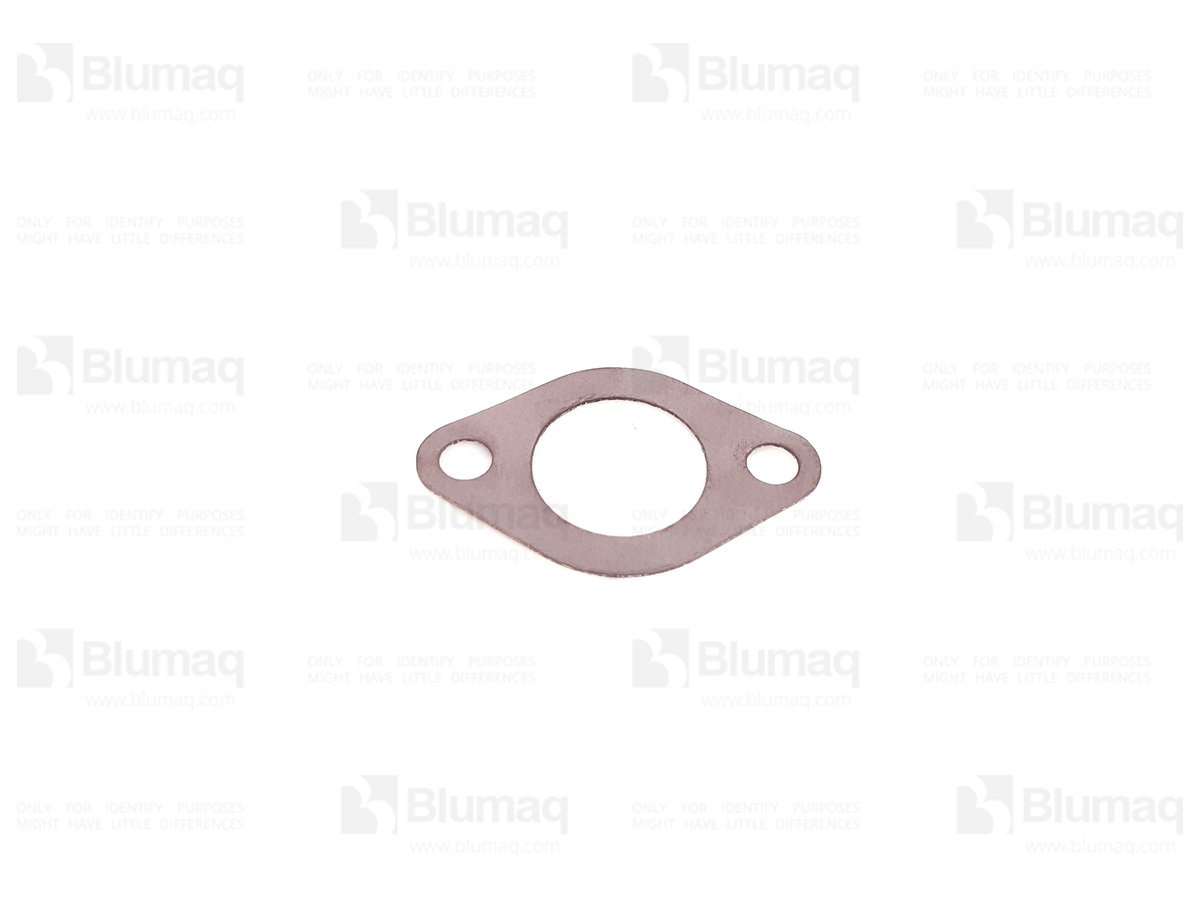 6755-11-9110 Gasket for BLUMAQ