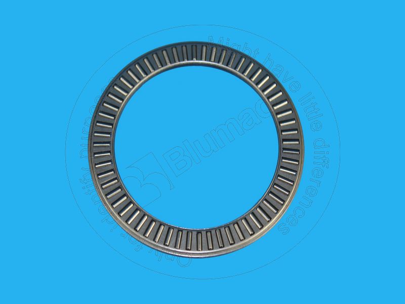 098-0794 Needle Bearing