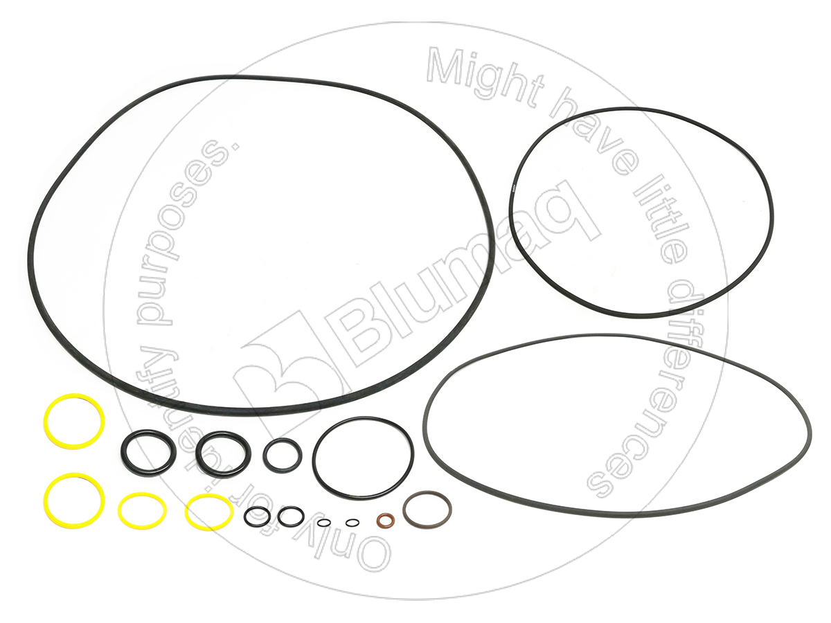 207-2015 BLUMAQ Gasket Kit