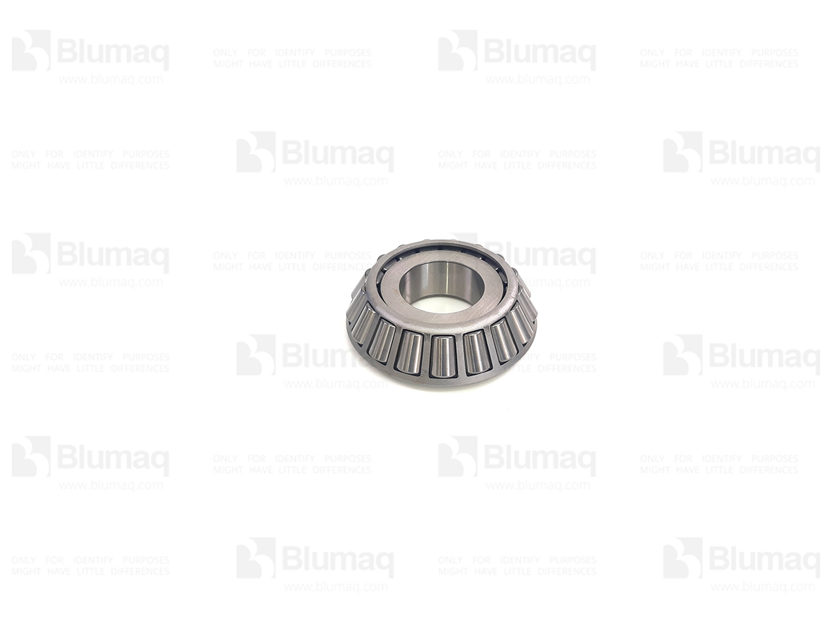 8D-3984 Bearing for BLUMAQ