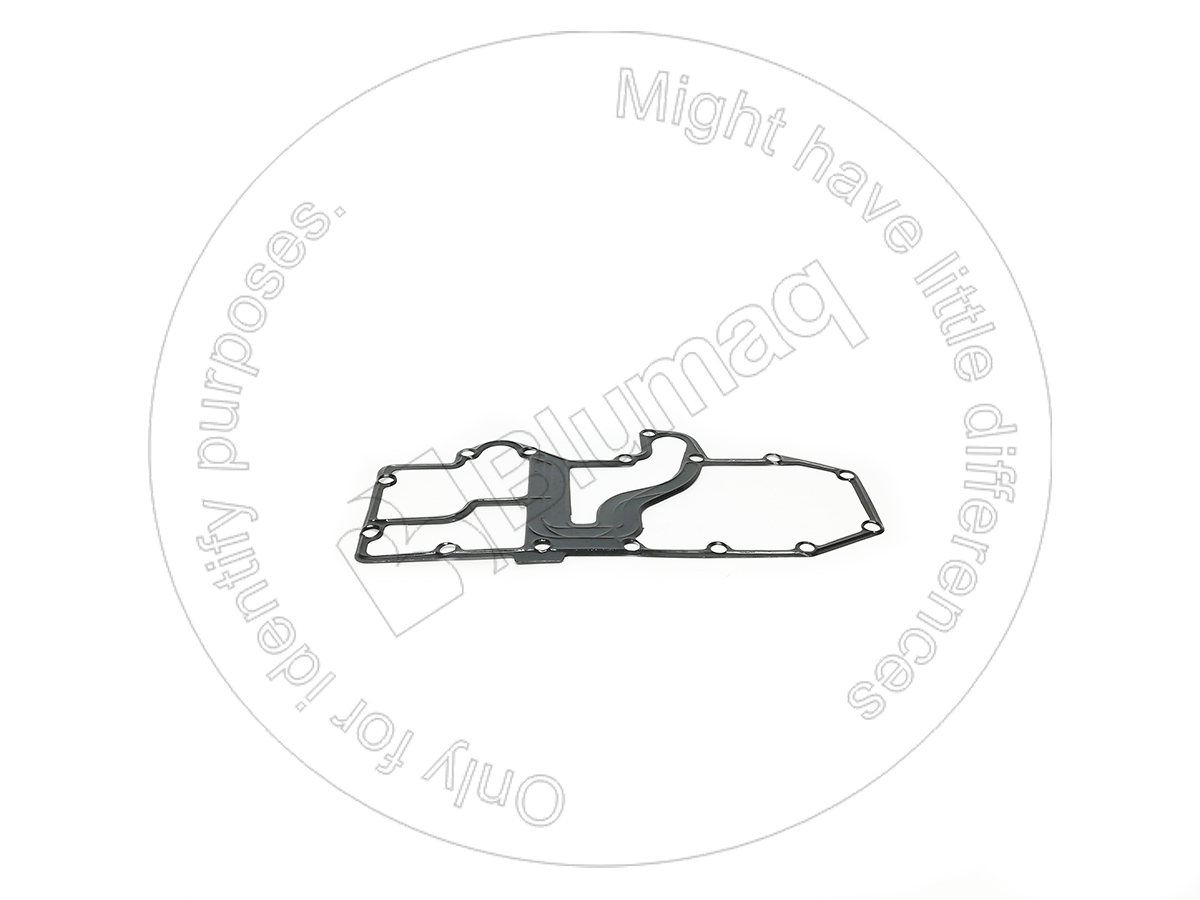 300-7933 Metal Gasket for BLUMAQ