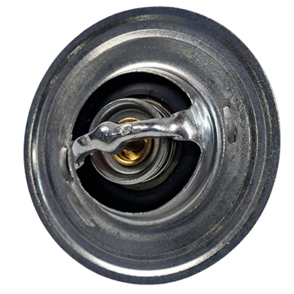 3925473 Thermostat