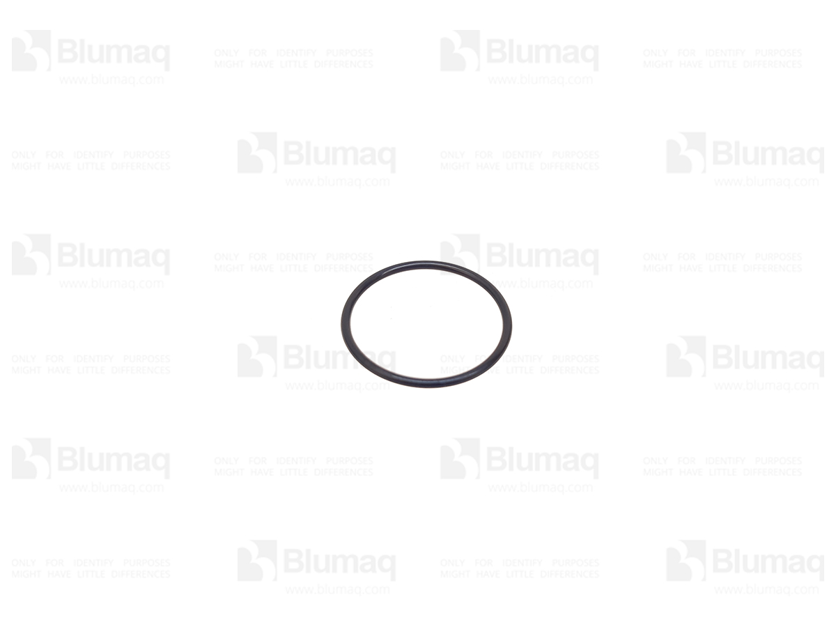 DK29633-101 Seal O-ring for BLUMAQ