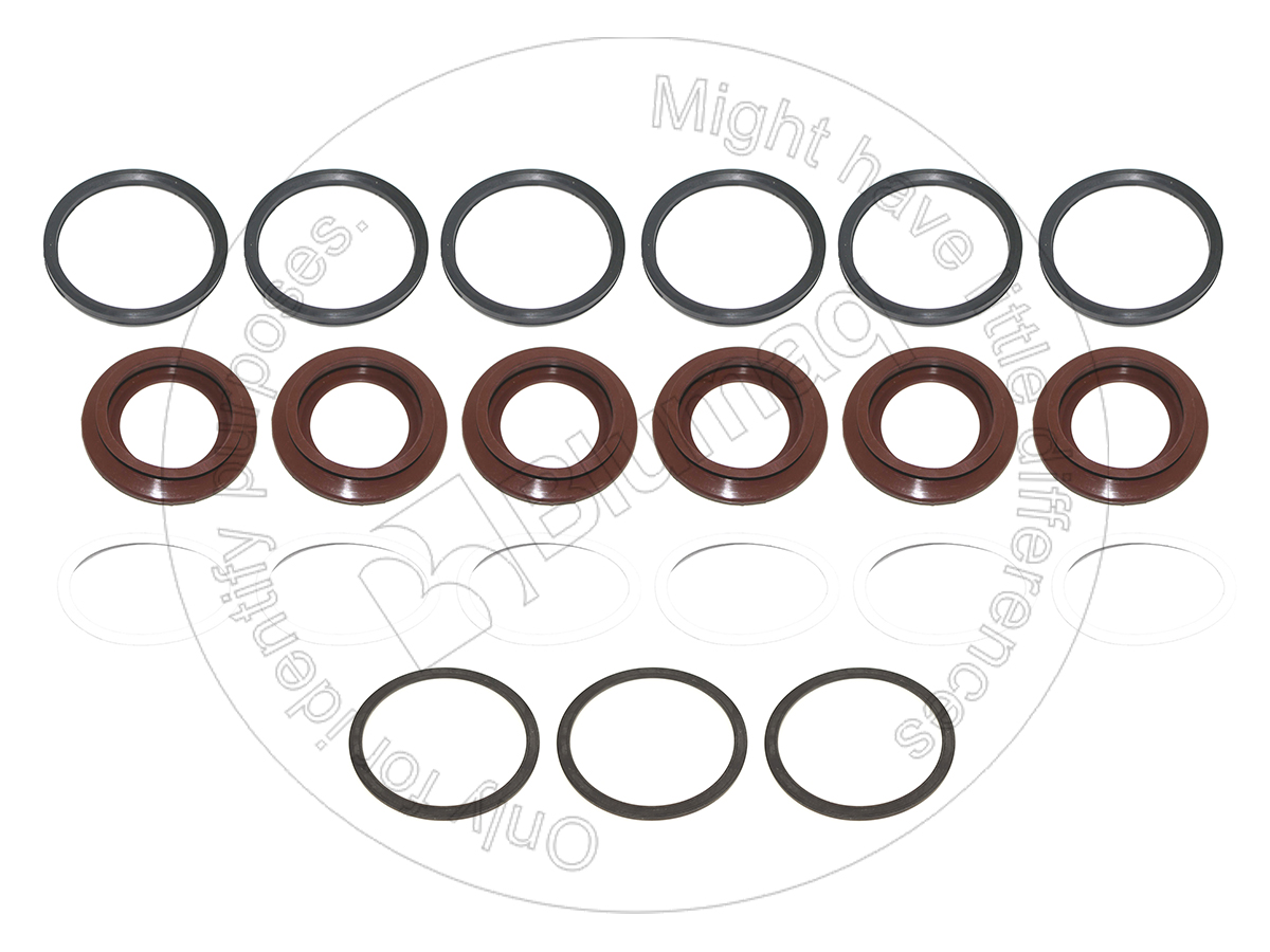 306-233 Seal Kit for BLUMAQ