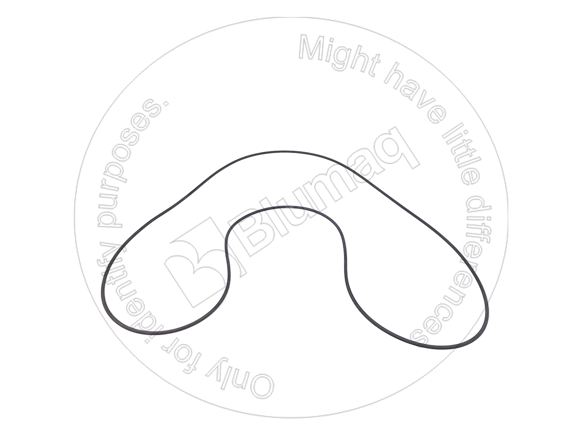 3D-3295 Seal O-ring for BLUMAQ