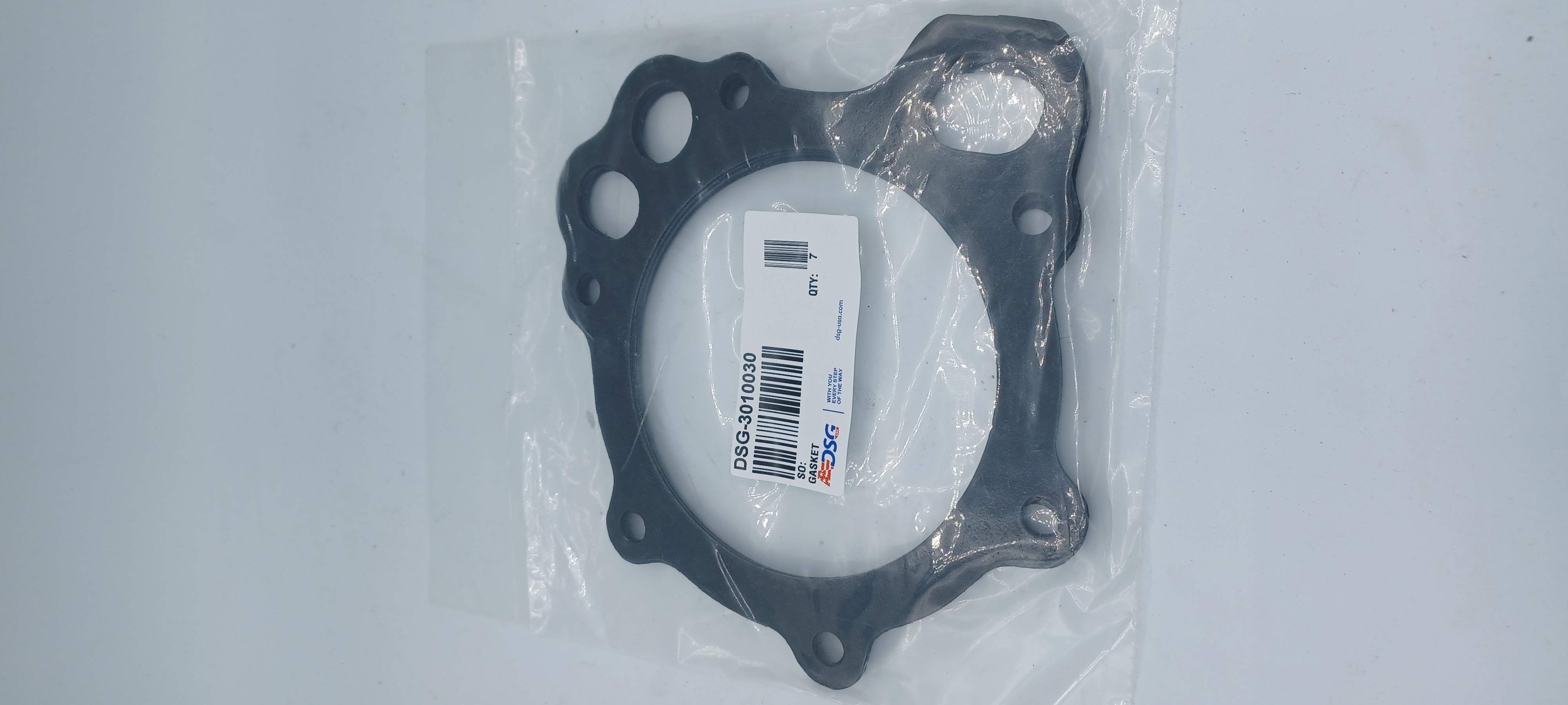3010030 DSG Gasket