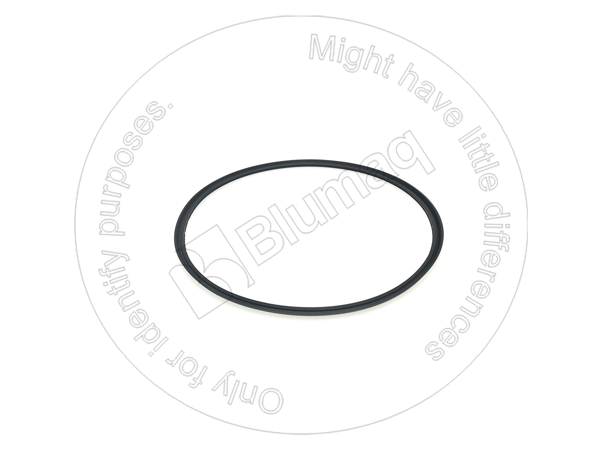 8E-5737 Seal Ring for BLUMAQ