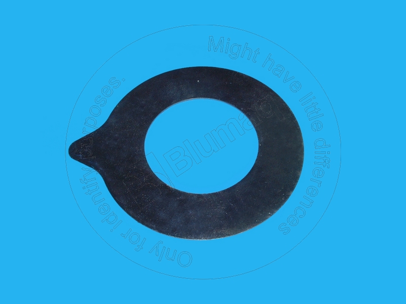7Y-2496 Shim for BLUMAQ