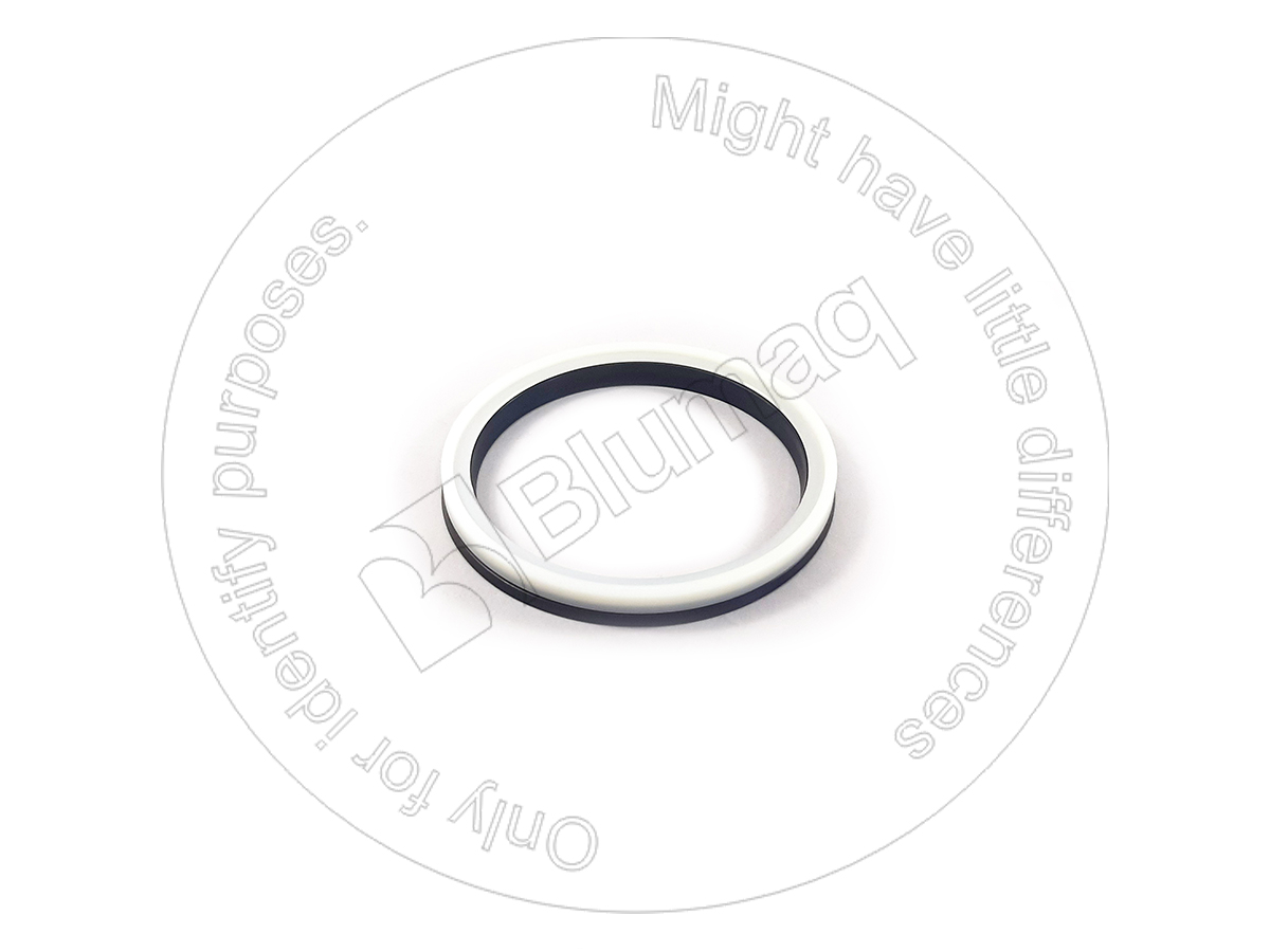 131-60-15262 U Packing for BLUMAQ