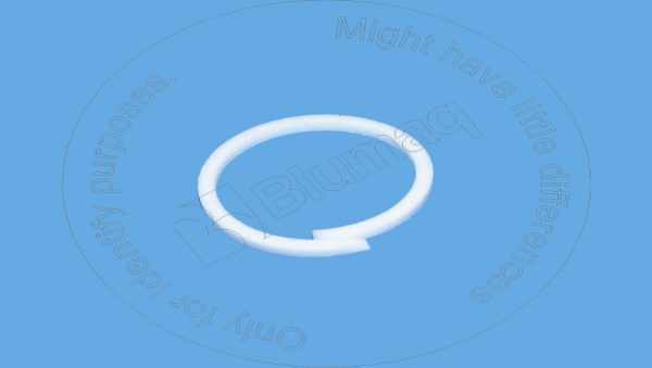 6E0771 Backup Ring