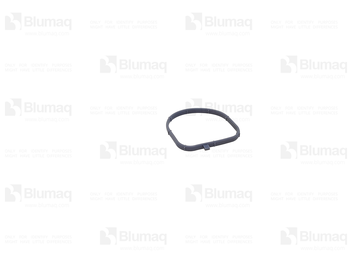 281-8744 Gasket for BLUMAQ