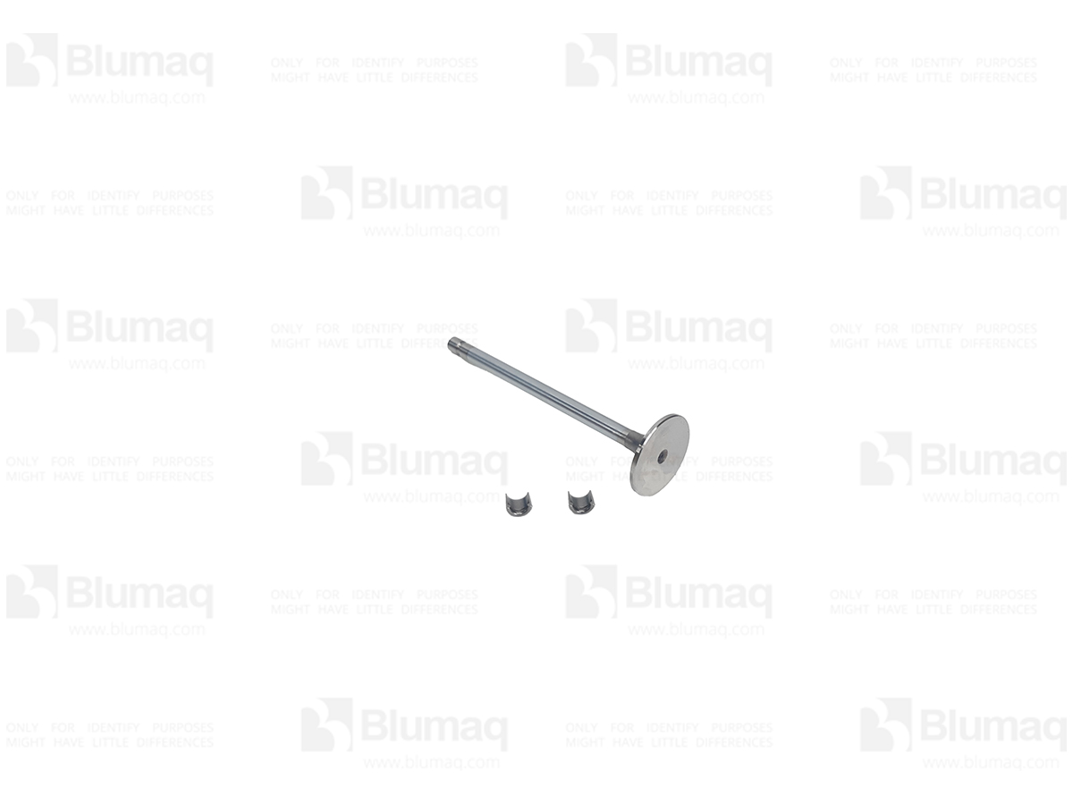 6745-41-4161 Intake Valve Kit for BLUMAQ