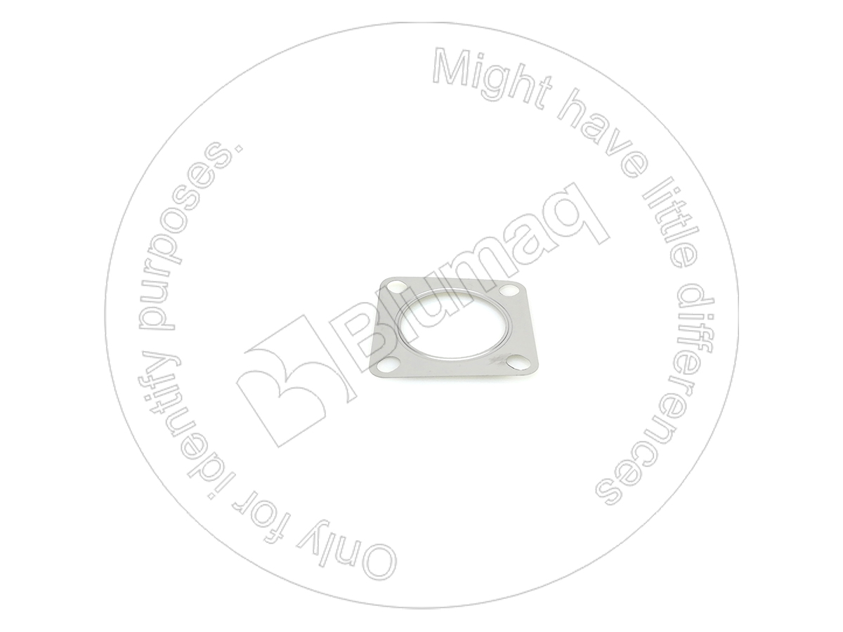 435-0208 Gasket for BLUMAQ