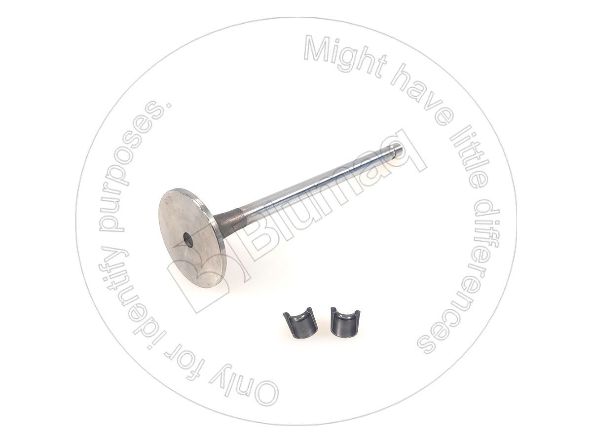 CU5259420 CUMMINS Intake Valve Kit