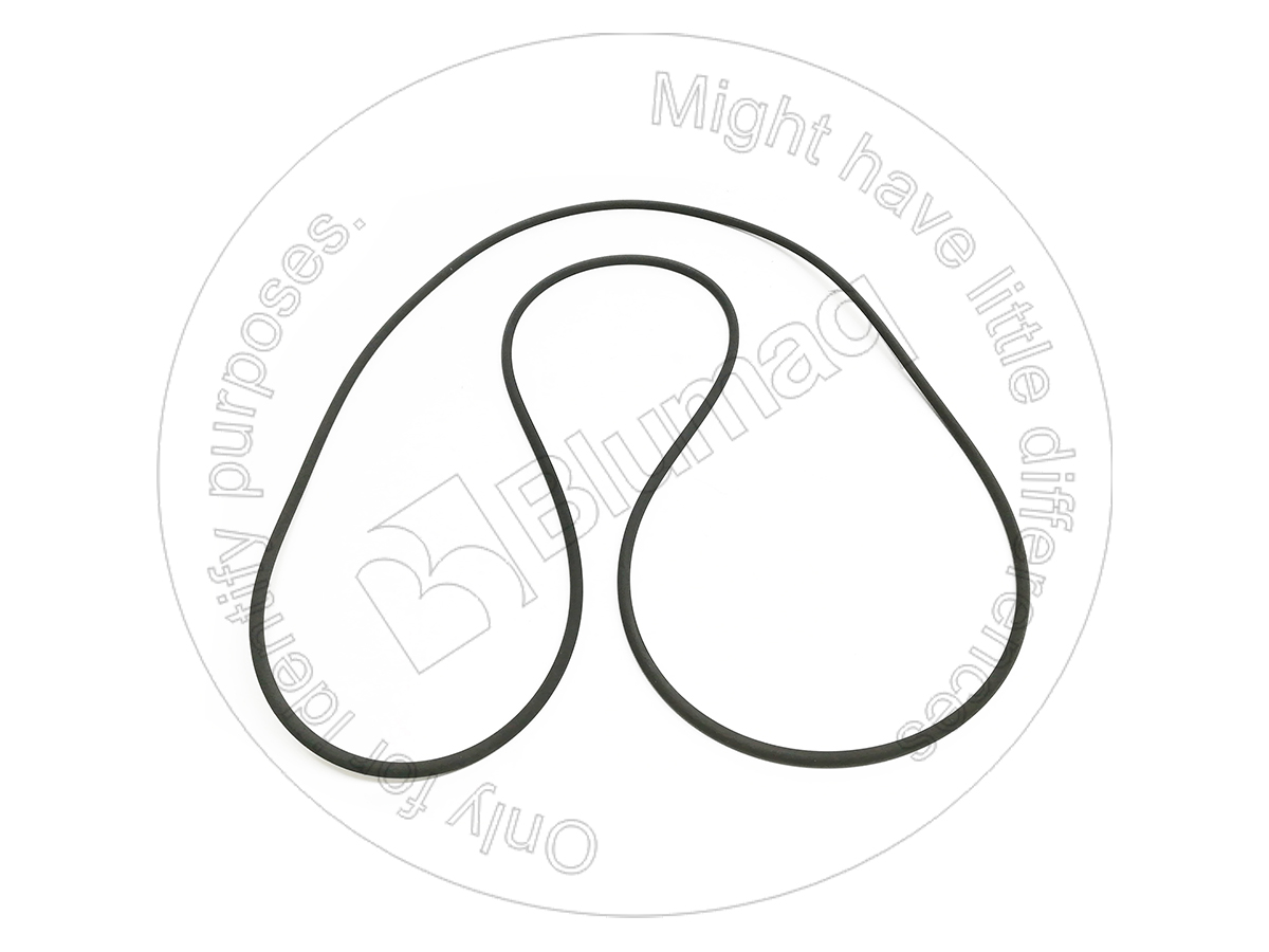 4H-6730 Seal O-ring for BLUMAQ