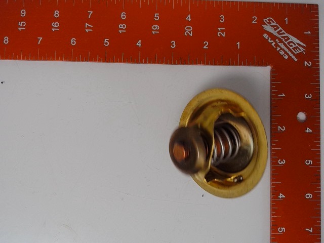 33-0145645 Thermostat for AGCO