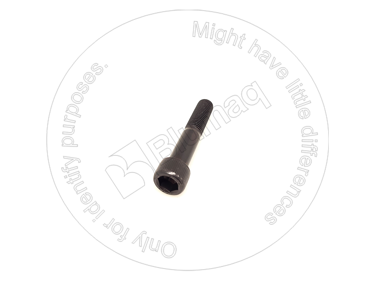 3E-8008 Allen Bolt