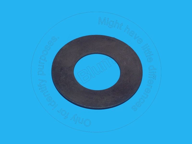 CA0125813 Washer