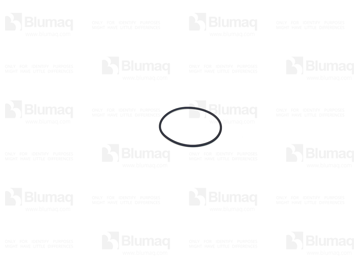 VO8819989 Seal O-ring for BLUMAQ