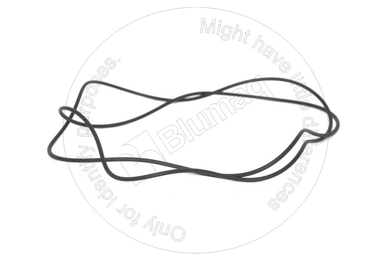 2D-6507 Seal O-ring for BLUMAQ
