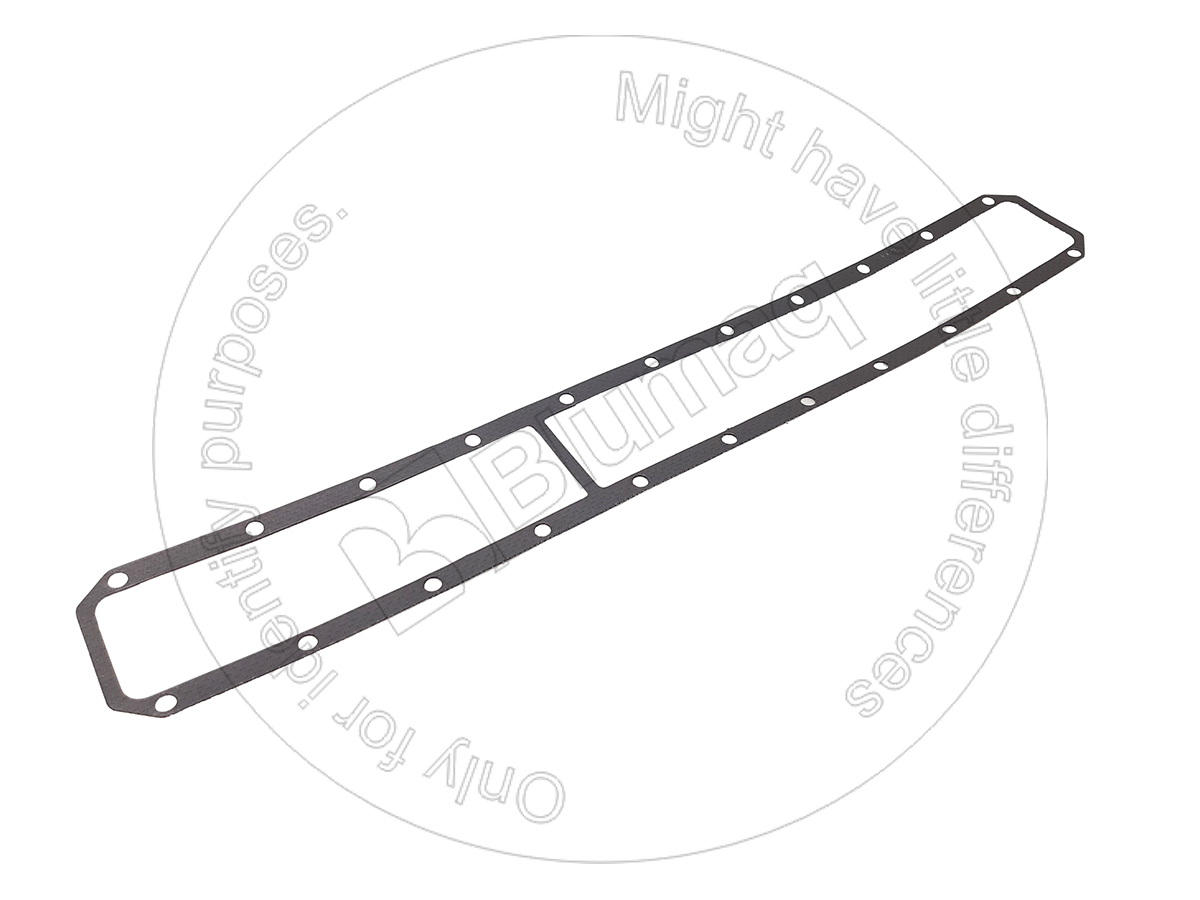 4P-1624 Gasket for BLUMAQ