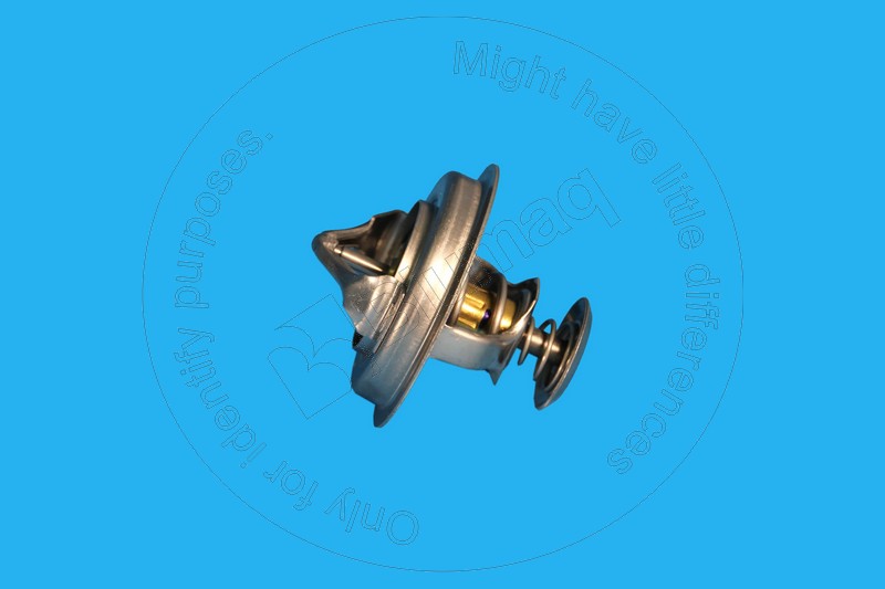 YM12391148620 Thermostat