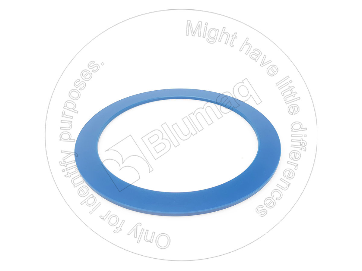105-8753 Washer for BLUMAQ
