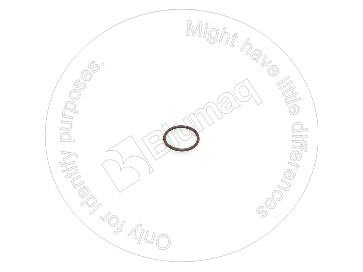 CS238-6122 Seal O-ring for BLUMAQ