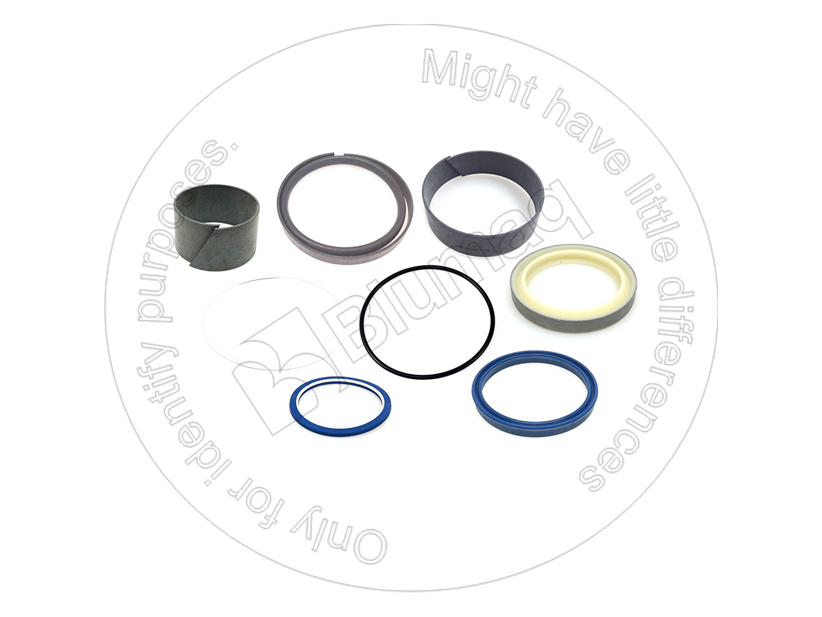 381-2334 Hydraulic Seal Kit for BLUMAQ