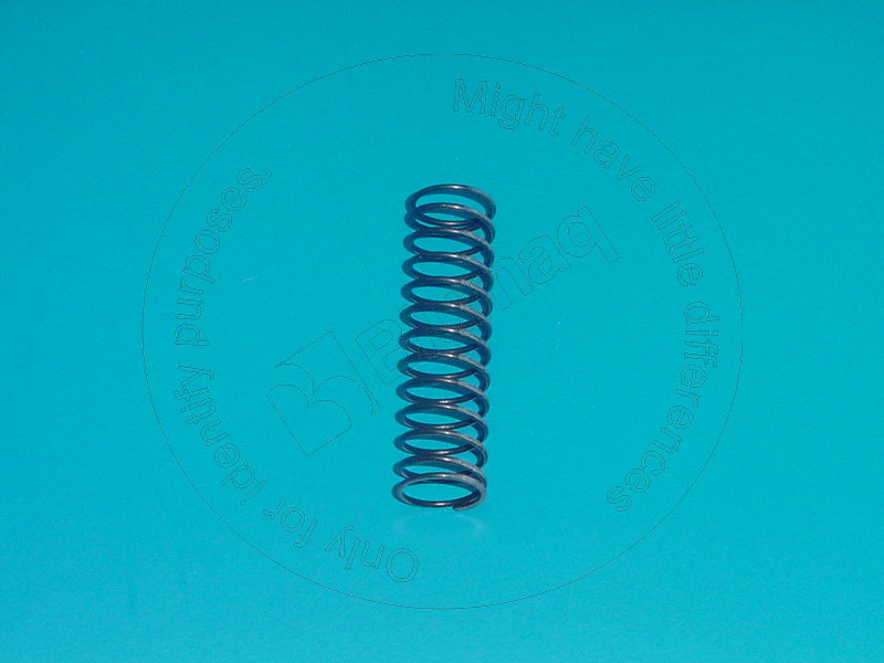 4W-8012 Spring