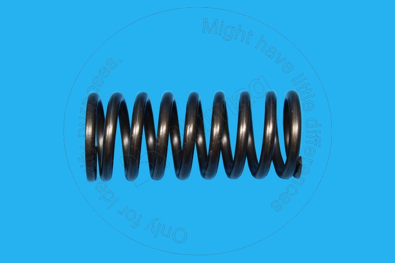 194-4902 Valve Spring