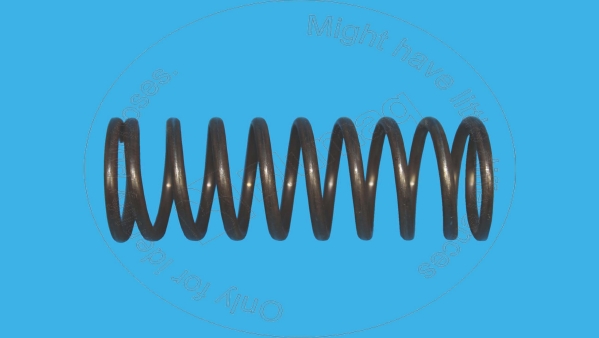 6J-8391 Spring for BLUMAQ