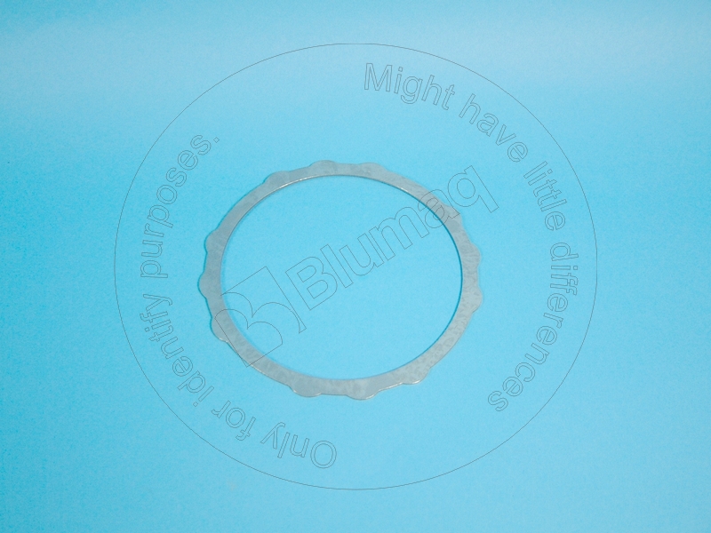 5I-8629 Disc for BLUMAQ