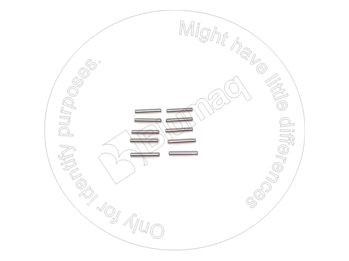 CS85808272 Needle Set