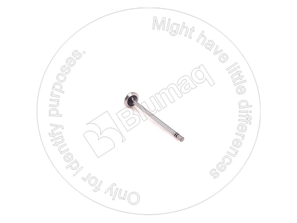115-2367 Exhaust Valve for BLUMAQ