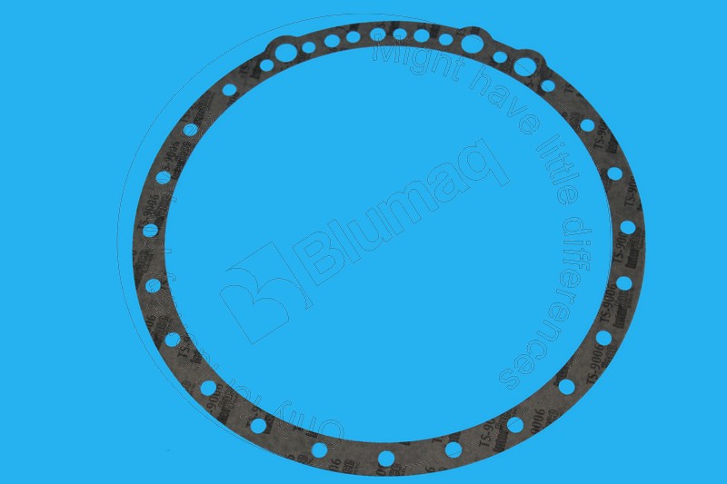 VO11418423 Gasket for BLUMAQ