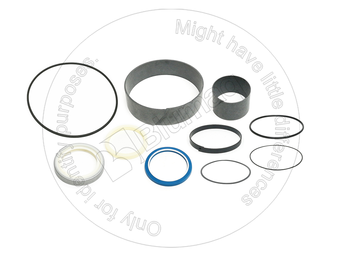 517330 Hydraulic Seal Kit for BLUMAQ