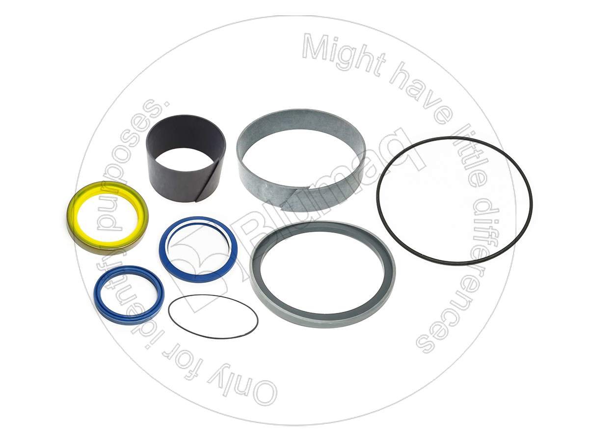 663137 BLUMAQ Hydraulic Seal Kit