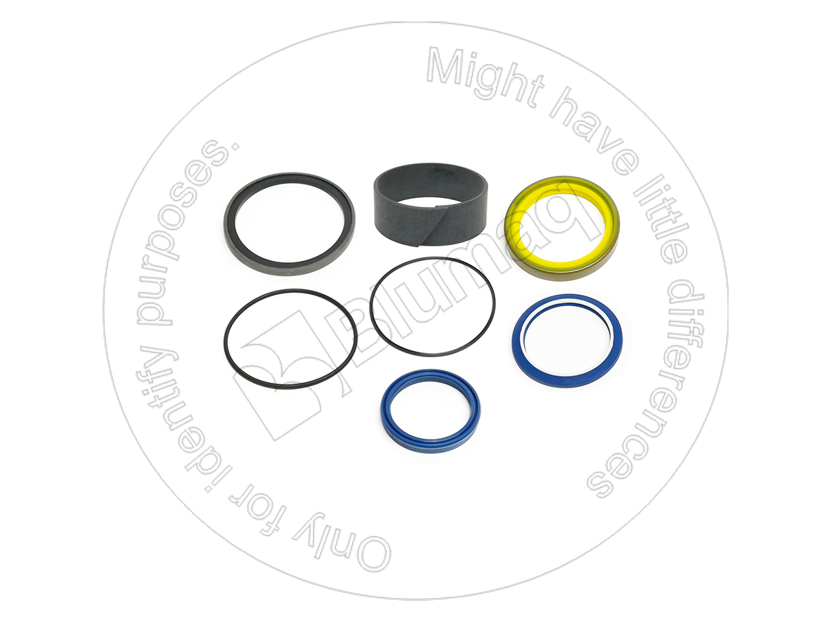 513112 BLUMAQ Hydraulic Seal Kit