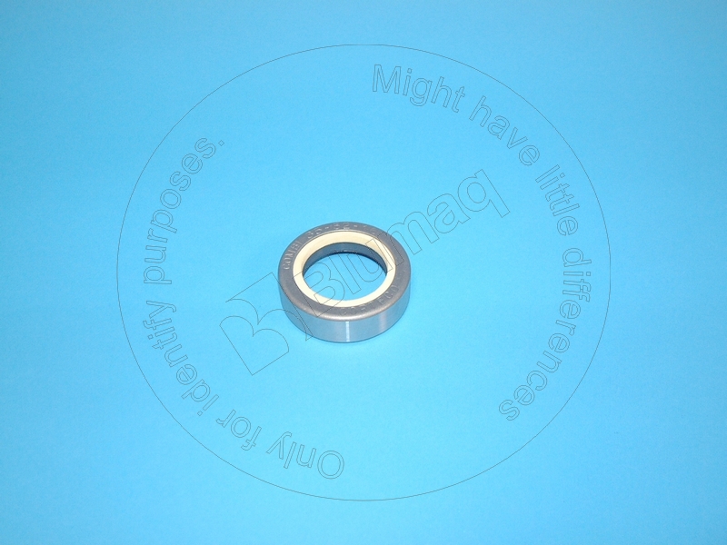 CS84582571 Seal