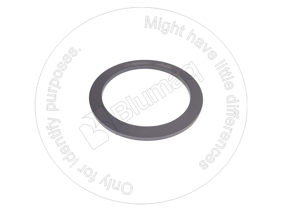 9P-7053 Plate for BLUMAQ