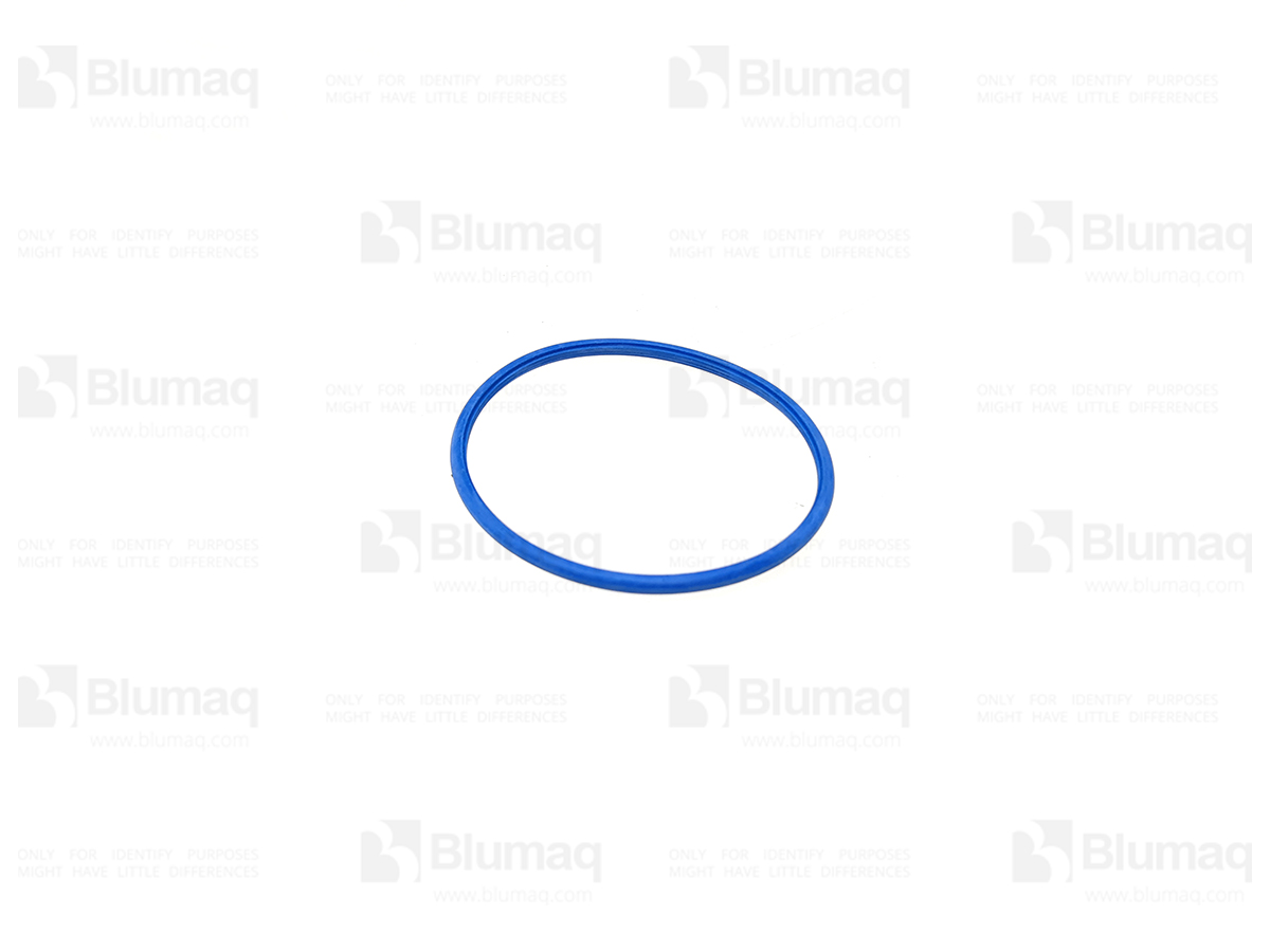 035.463 Seal for BLUMAQ