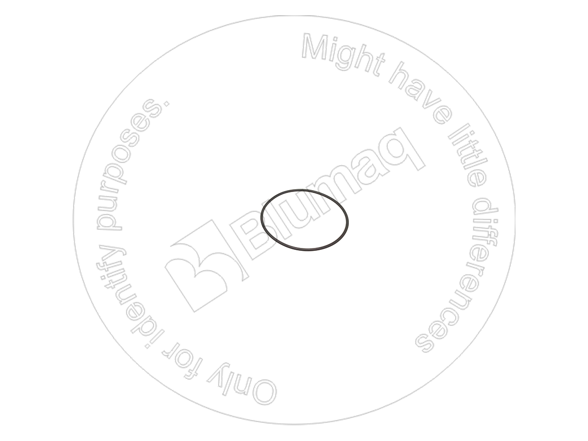 6215-61-7380 Seal O-ring for BLUMAQ