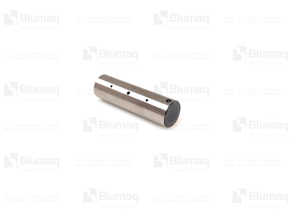 219-9684 Planet Shaft