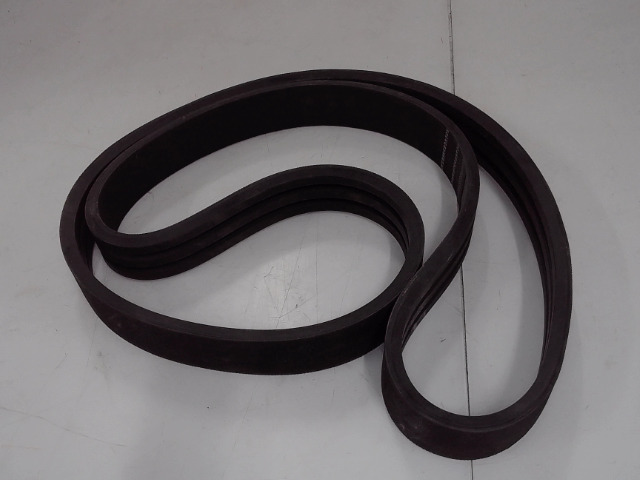 855593 AGCO Belt