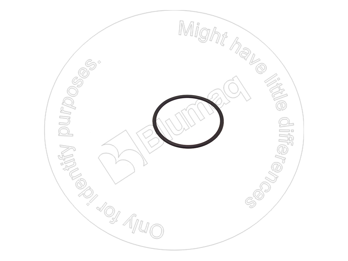 2008129 Seal O Ring