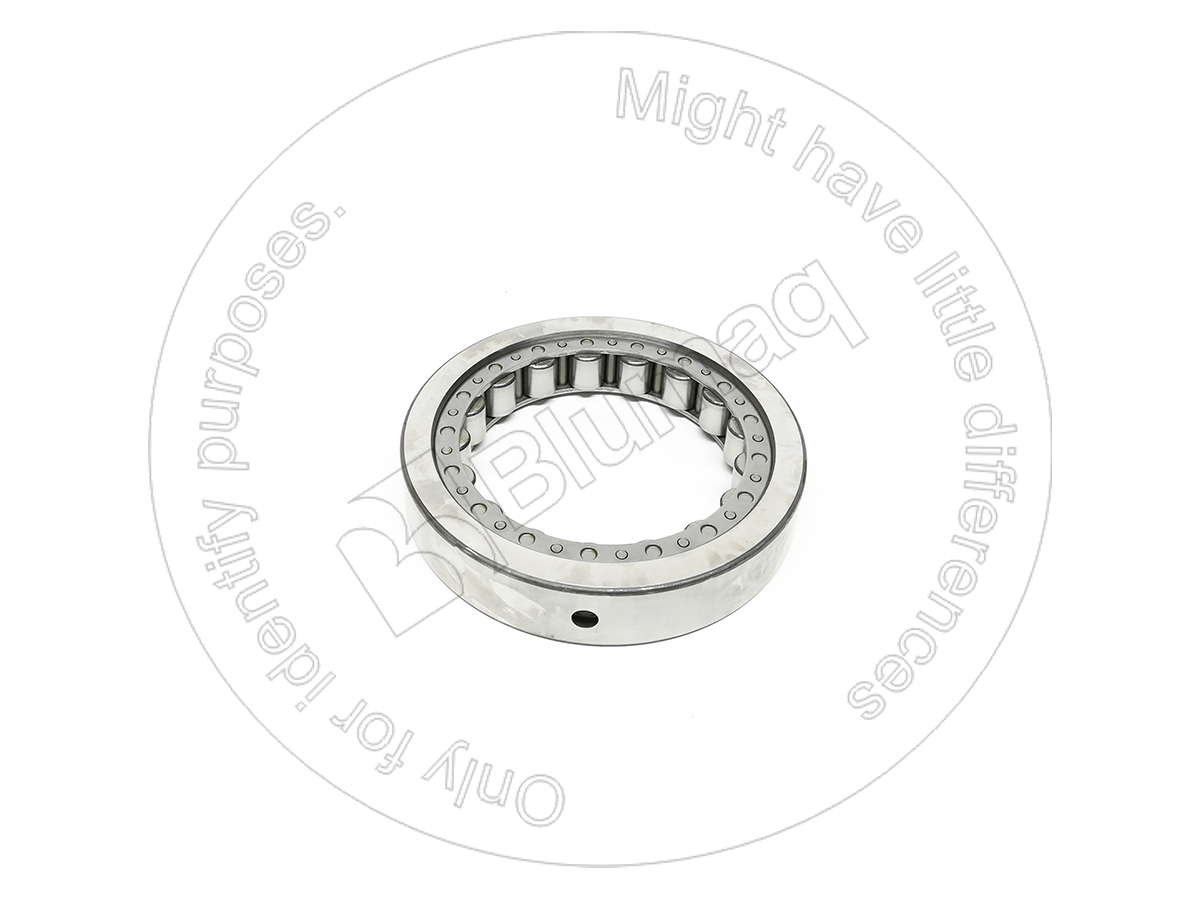 4L-0734 Bearing for BLUMAQ