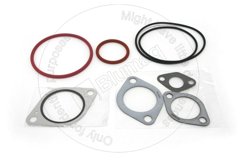 425-3552 Gasket Kit Wp for BLUMAQ
