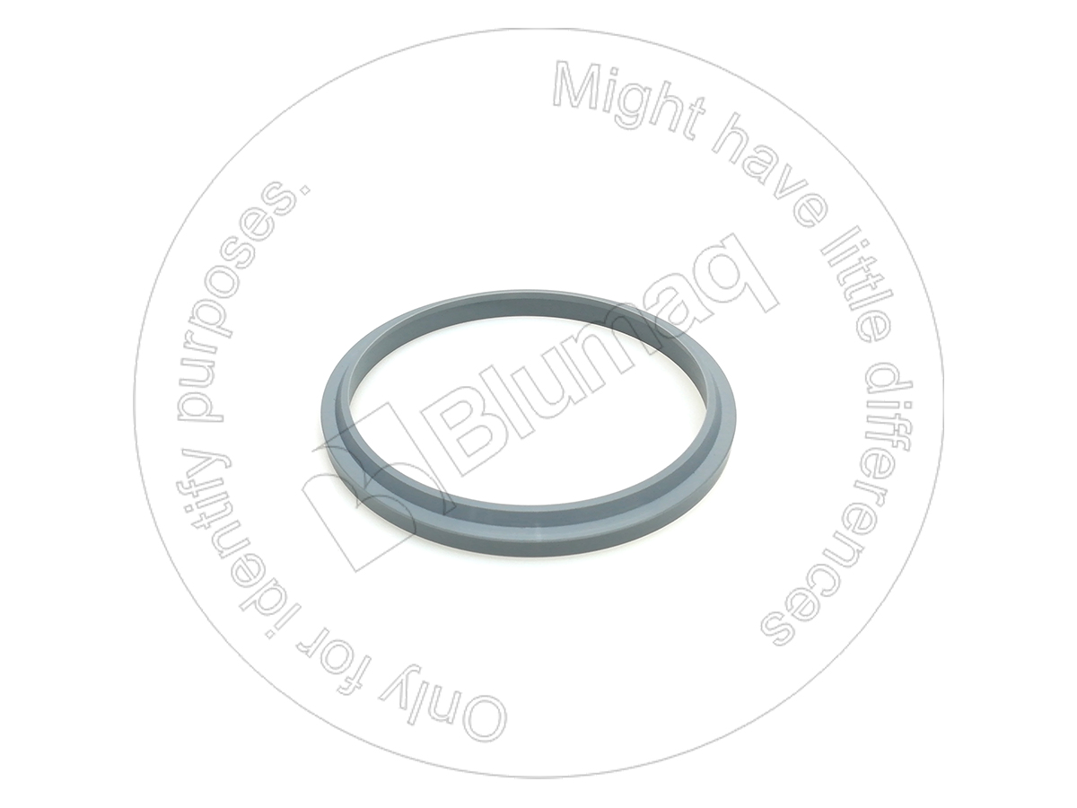 289-2931 Wiper Seal for BLUMAQ