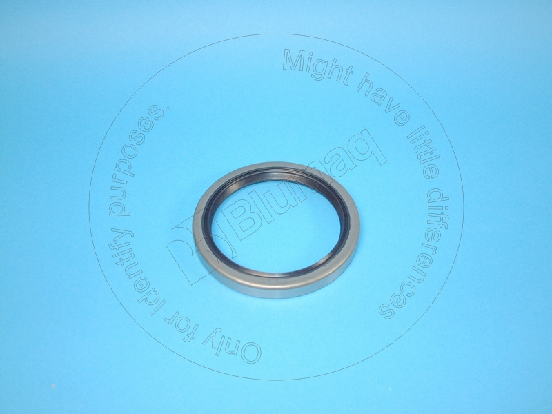 CR34868 Seal for BLUMAQ